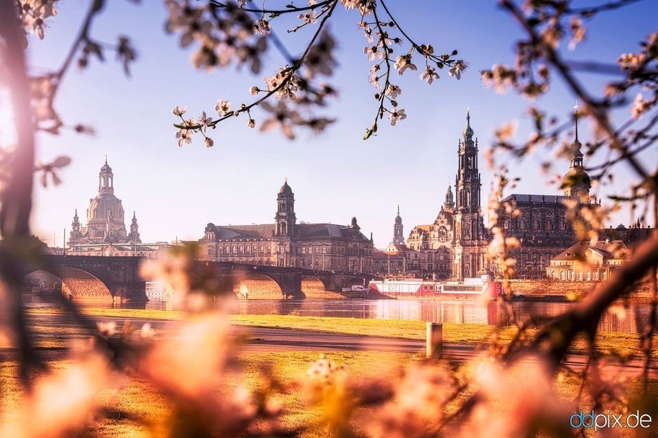 Dresden im Frühling