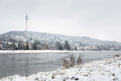Winter auf den Elbwiesen