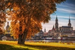 Herbst in Dresden