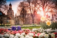 Brühlscher Garten im Frühling