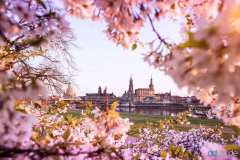 Skyline im Frühling