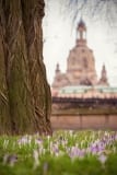 Frauenkirche im Frühling