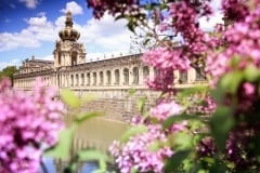 Dresdner Zwinger im Frühling