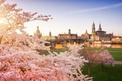Frühling