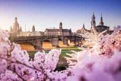 Frühling am Königsufer