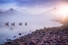 Blaues Wunder im Nebel