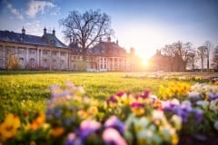 Schloß Pillnitz im Frühling