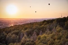 Ballons über Dresden