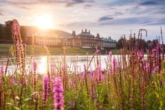 Schloß Pillnitz zum Sonnenaufgang