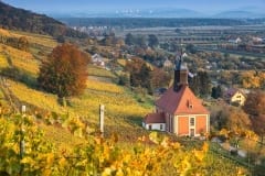 Weinbergkirche im Herbst