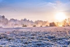 Schloss Pillnitz im Nebel