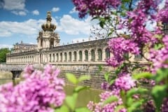 Dresdner Zwinger im Frühling