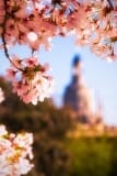 Frühling