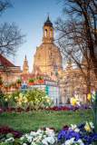 Frühling im Brühlschen Garten