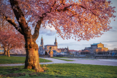 Frühling am Königsufer