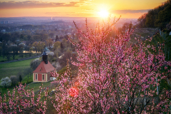 Weinbergkirche im Frühling