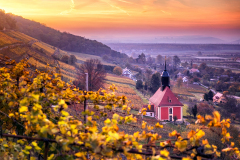 Weinbergkirche im Herbst