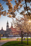 Frühling am Königsufer