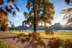 Goldener Herbst