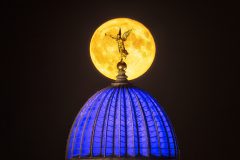 Fama im Mondlicht
