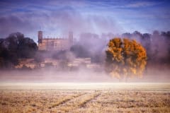 Schloss Albrechtsberg im Nebel
