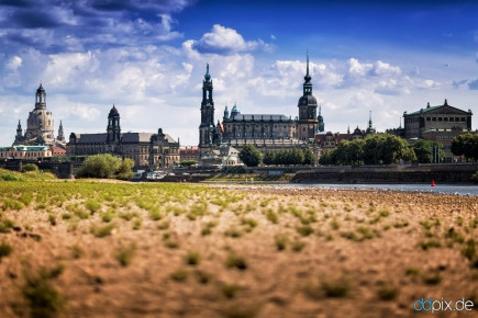 Sommer in Dresden