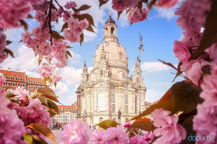 Dresdner Frauenkirche im Frühling