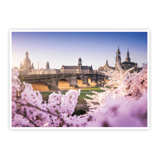Dresden Postkarte (Nr. 00503) Dresden Frühling