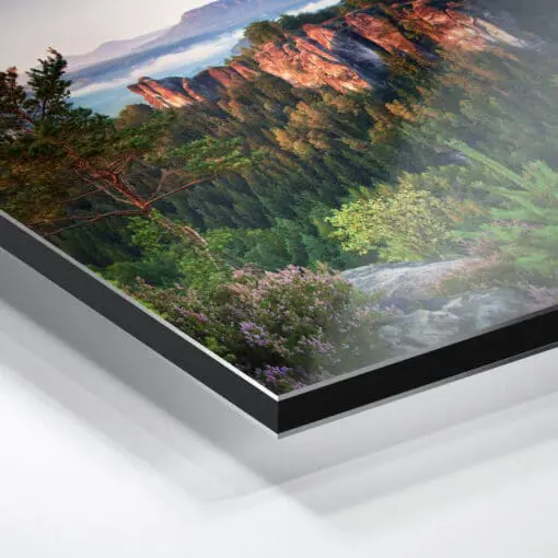 Alu-Dibond (00146) Sächsische Schweiz im Frühling – Bild 2