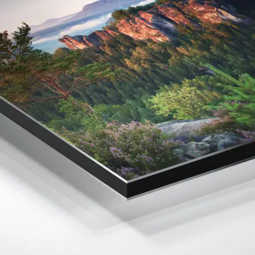 Alu-Dibond (00146) Sächsische Schweiz im Frühling – Bild 3