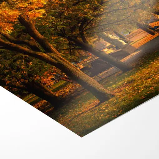 Fotoabzug (00230) Herbst in Dresden – Bild 3