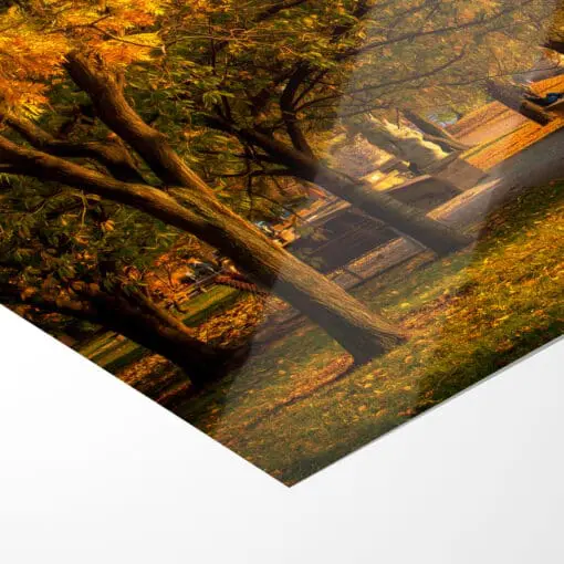 Poster (00230) Herbst in Dresden – Bild 5