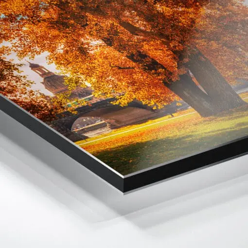 Alu-Dibond (00231) Herbst in Dresden – Bild 2