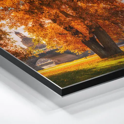 Alu-Dibond (00231) Herbst in Dresden – Bild 3