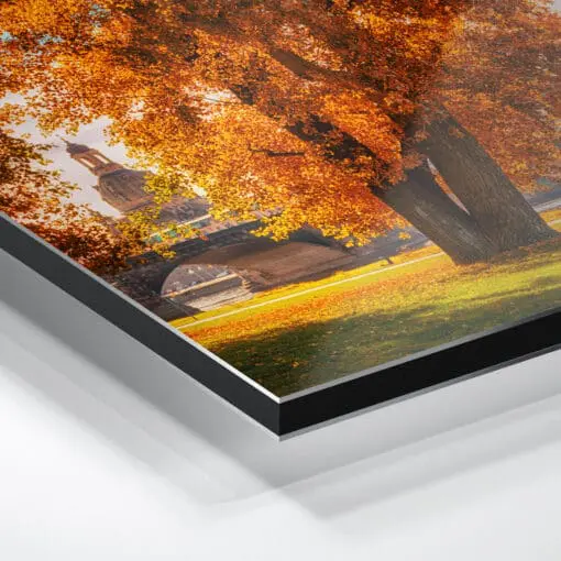 Alu-Dibond (00231) Herbst in Dresden – Bild 5