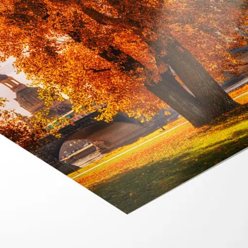 Fotoabzug (00231) Herbst in Dresden – Bild 3