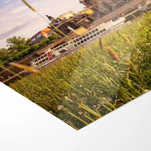 Poster (00246) Dresden im Sommer – Bild 5