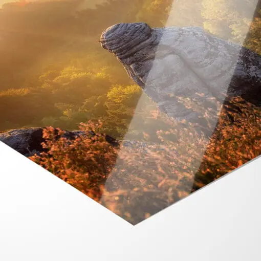 Poster (00329) Bastei im Nebel – Bild 2
