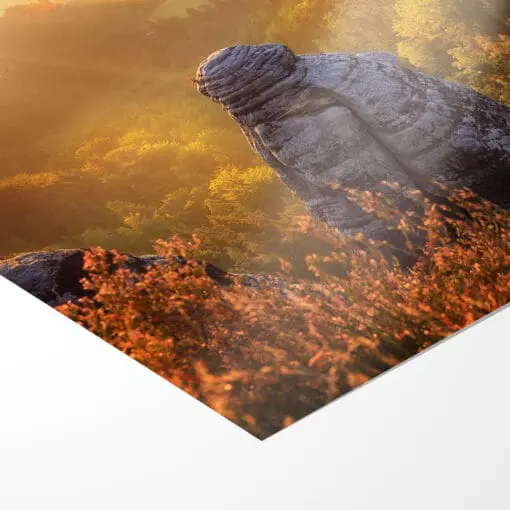 Poster (00329) Bastei im Nebel – Bild 3