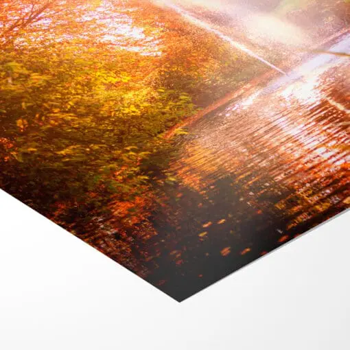 Poster (00340) Schloss Eckberg im Herbst – Bild 3