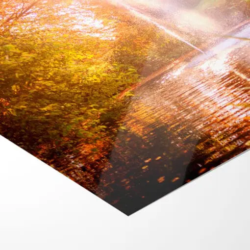 Poster (00340) Schloss Eckberg im Herbst – Bild 5
