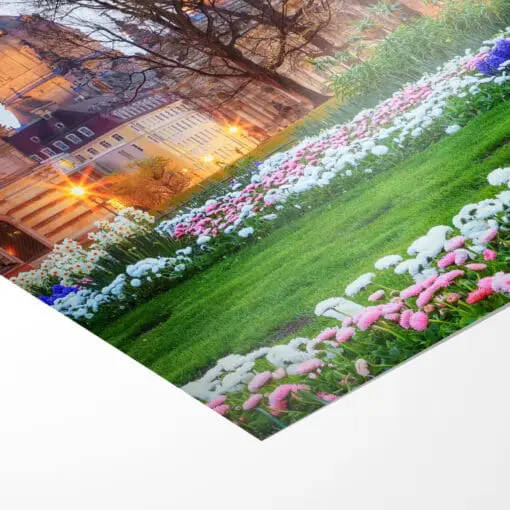 Fotoabzug (00364) Frühling in Dresden – Bild 3