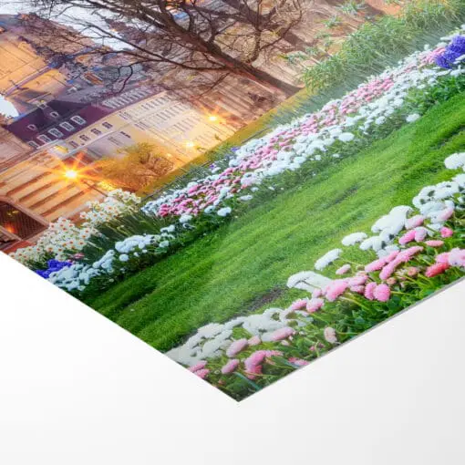 Fotoabzug (00364) Frühling in Dresden – Bild 5