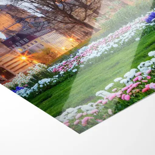Poster (00364) Frühling in Dresden – Bild 2