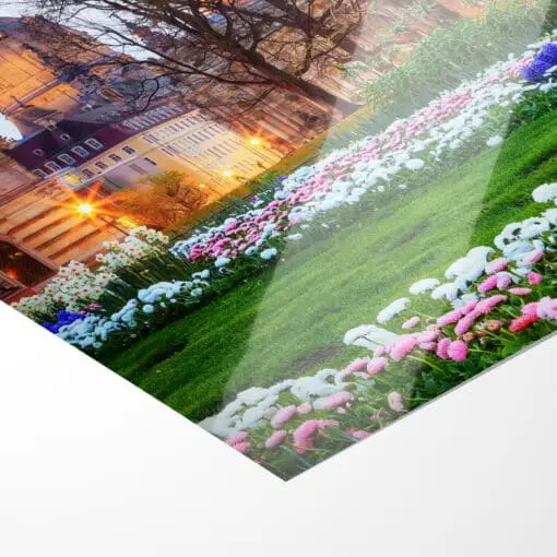 Poster (00364) Frühling in Dresden – Bild 4