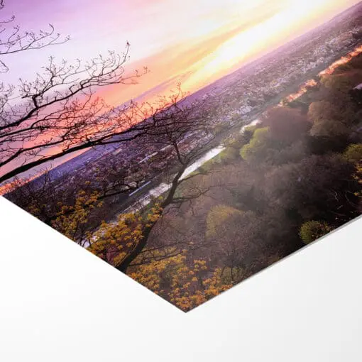 Poster (00366) Dresden Skyline im Frühling – Bild 3