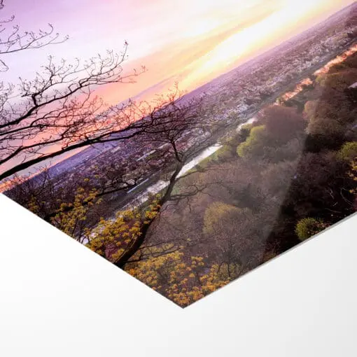Poster (00366) Dresden Skyline im Frühling – Bild 5