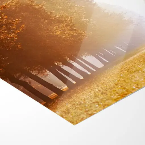 Poster (00390) Großer Garten im Nebel – Bild 5