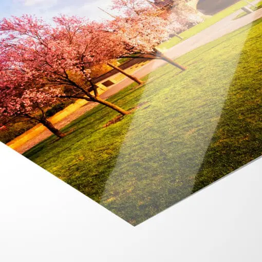 Poster (00397) Frühling in Dresden – Bild 4