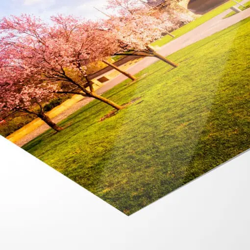 Poster (00397) Frühling in Dresden – Bild 5
